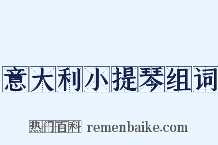 意大利小提琴组词是什么意思的图片